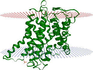 thumbnail of SNAT3: structure and pathogenic variants