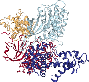 thumbnail of Human Cyclin-Dependent Kinase 12 (CDK12), Kinase Domain