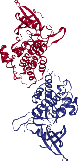 thumbnail of Human LIM Domain  Kinase 1 (LIMK1), Kinase Domain