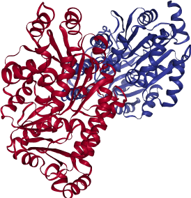 thumbnail of Human RECQL5 helicase