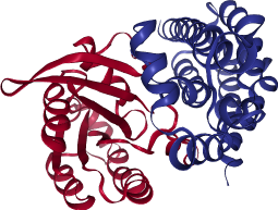 thumbnail of Human Kalirin/RAC1 GEF/GTPase Complex