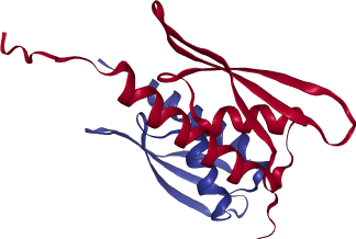 thumbnail of Human With No Lysine Kinase 3 (WNK3)